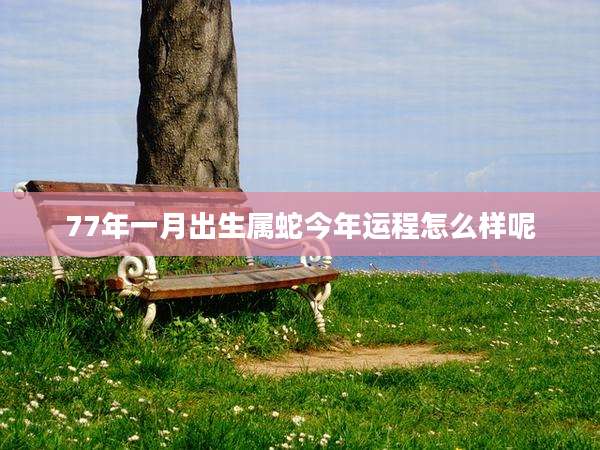 77年一月出生属蛇今年运程怎么样呢