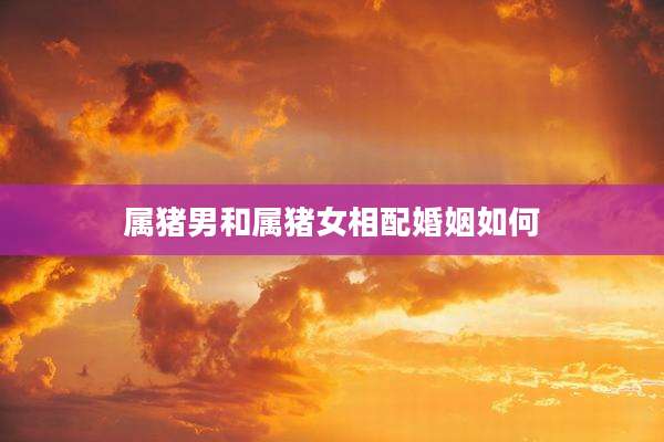 属猪男和属猪女相配婚姻如何