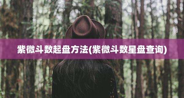 紫微斗数起盘方法(紫微斗数星盘查询)