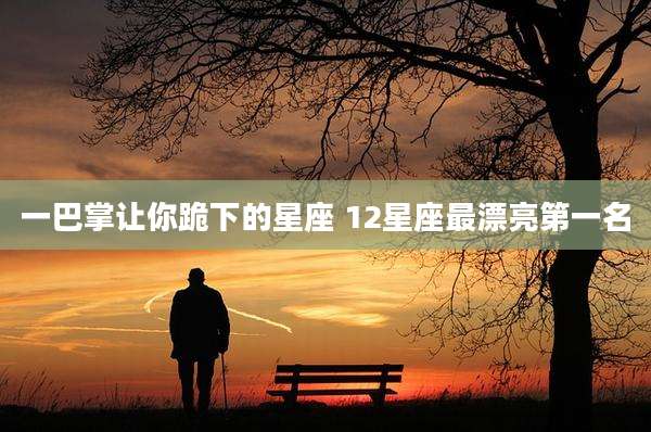 一巴掌让你跪下的星座 12星座最漂亮第一名