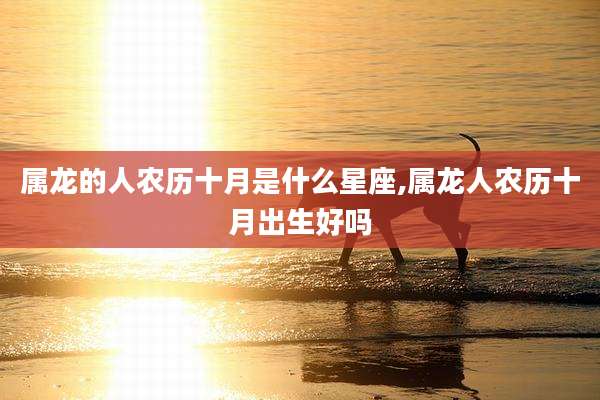 属龙的人农历十月是什么星座,属龙人农历十月出生好吗