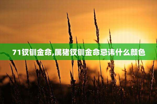 71钗钏金命,属猪钗钏金命忌讳什么颜色