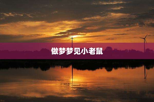 做梦梦见小老鼠
