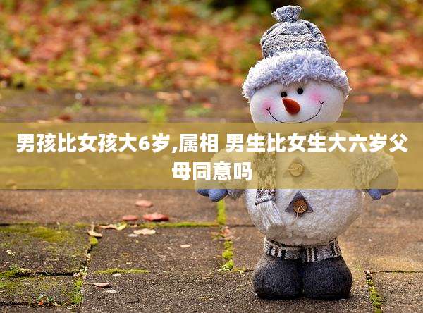 男孩比女孩大6岁,属相 男生比女生大六岁父母同意吗