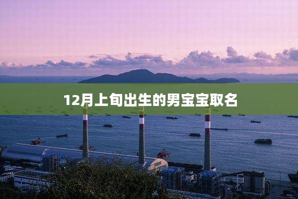 12月上旬出生的男宝宝取名