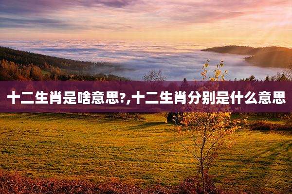 十二生肖是啥意思?,十二生肖分别是什么意思