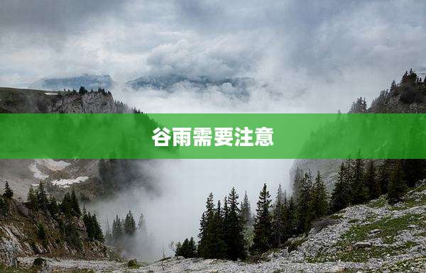 谷雨需要注意