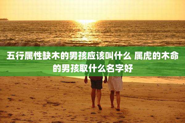 五行属性缺木的男孩应该叫什么 属虎的木命的男孩取什么名字好
