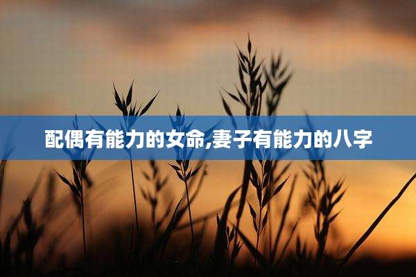 配偶有能力的女命,妻子有能力的八字