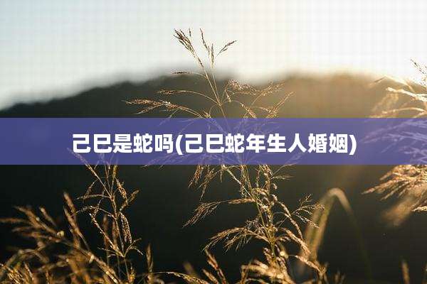 己巳是蛇吗(己巳蛇年生人婚姻)