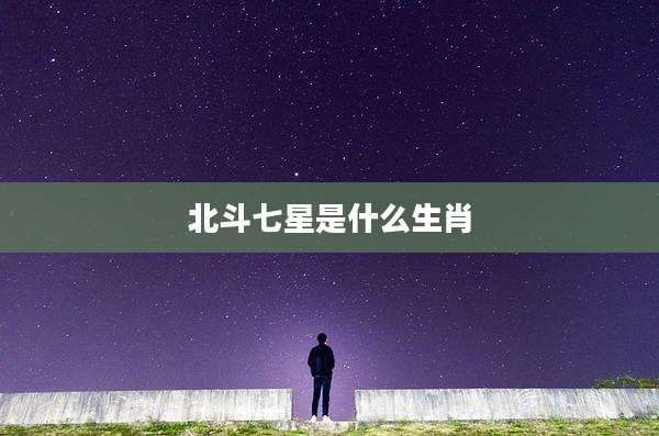北斗七星是什么生肖