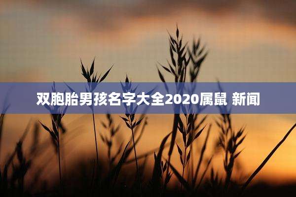 双胞胎男孩名字大全2020属鼠 新闻