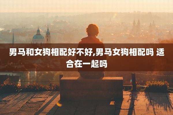 男马和女狗相配好不好,男马女狗相配吗 适合在一起吗