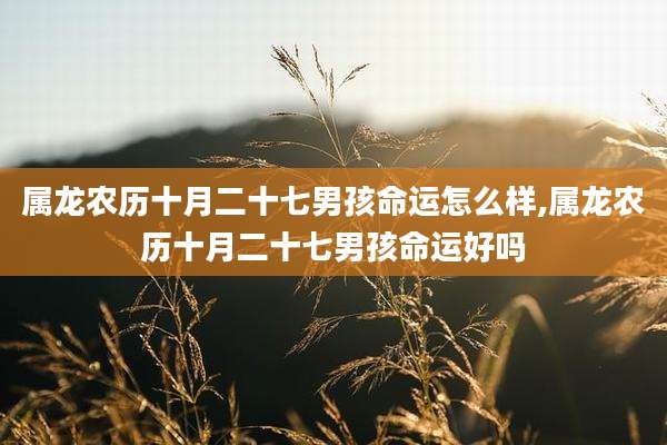 属龙农历十月二十七男孩命运怎么样,属龙农历十月二十七男孩命运好吗
