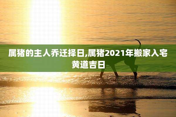 属猪的主人乔迁择日,属猪2021年搬家入宅黄道吉日