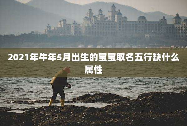 2021年牛年5月出生的宝宝取名五行缺什么属性