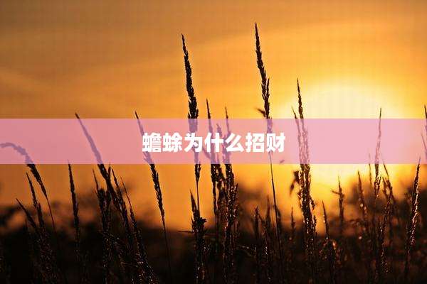 蟾蜍为什么招财