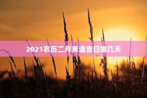 2021农历二月黄道吉日哪几天