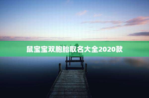 鼠宝宝双胞胎取名大全2020款