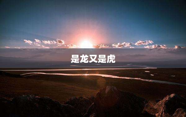 是龙又是虎