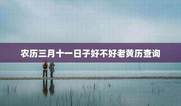 农历三月十一日子好不好老黄历查询