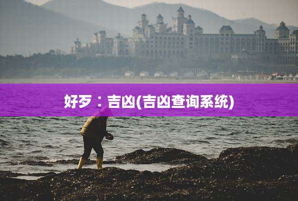 好歹∶吉凶(吉凶查询系统)