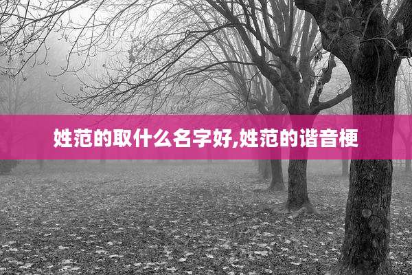 姓范的取什么名字好,姓范的谐音梗