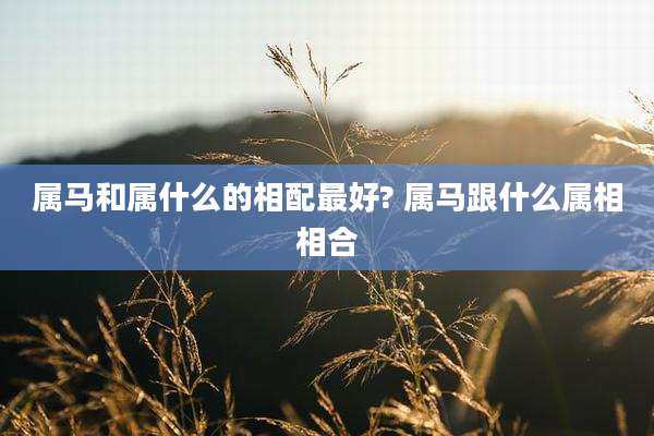 属马和属什么的相配最好? 属马跟什么属相相合