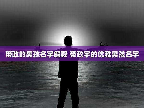 带政的男孩名字解释 带政字的优雅男孩名字