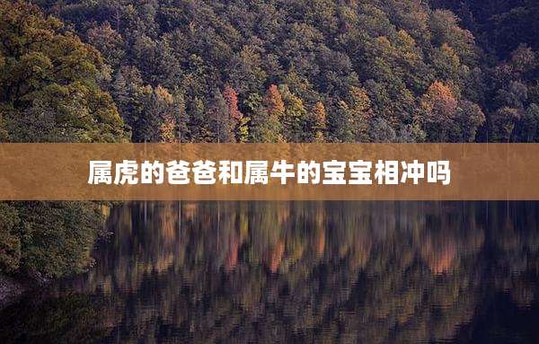 属虎的爸爸和属牛的宝宝相冲吗