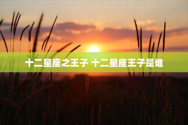 十二星座之王子 十二星座王子是谁
