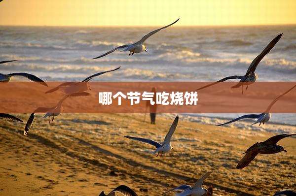 哪个节气吃烧饼