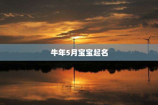 牛年5月宝宝起名