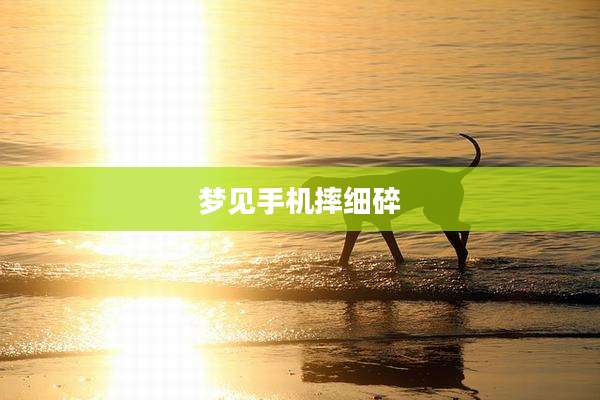 梦见手机摔细碎