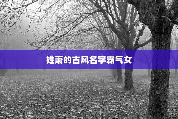 姓萧的古风名字霸气女