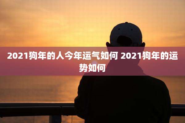 2021狗年的人今年运气如何 2021狗年的运势如何