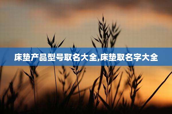 床垫产品型号取名大全,床垫取名字大全