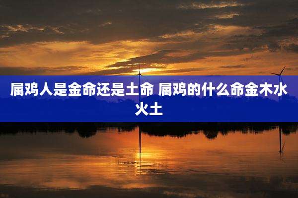 属鸡人是金命还是土命 属鸡的什么命金木水火土