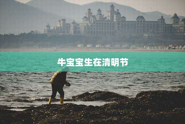 牛宝宝生在清明节