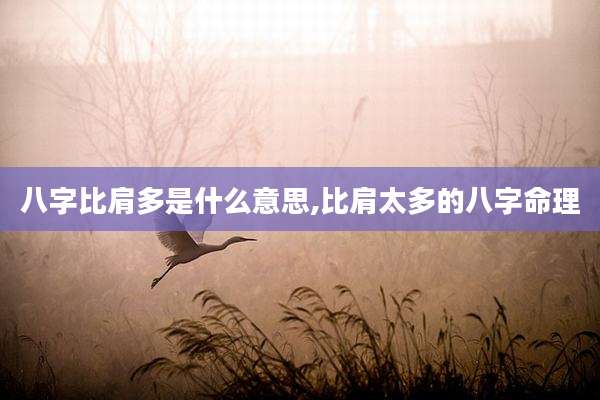 八字比肩多是什么意思,比肩太多的八字命理