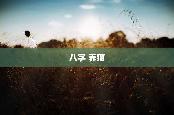八字 养猫