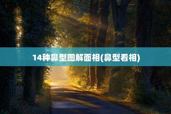 14种鼻型图解面相(鼻型看相)