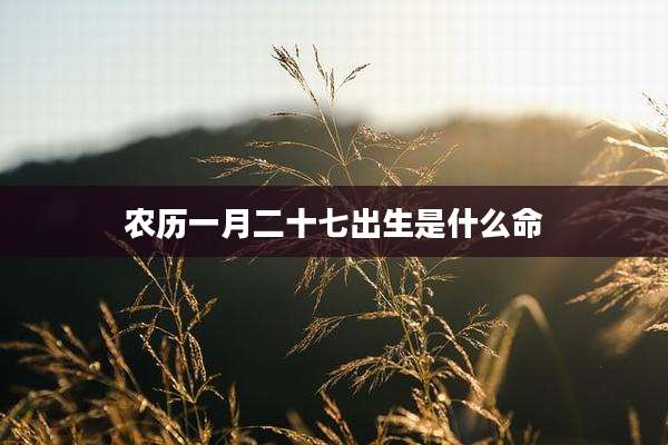 农历一月二十七出生是什么命