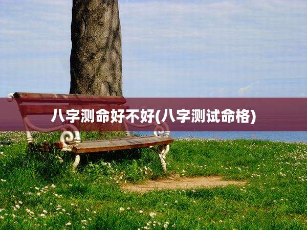 八字测命好不好(八字测试命格)