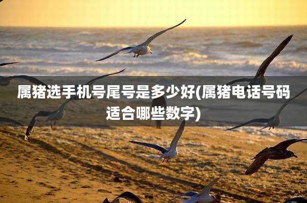 属猪选手机号尾号是多少好(属猪电话号码适合哪些数字)