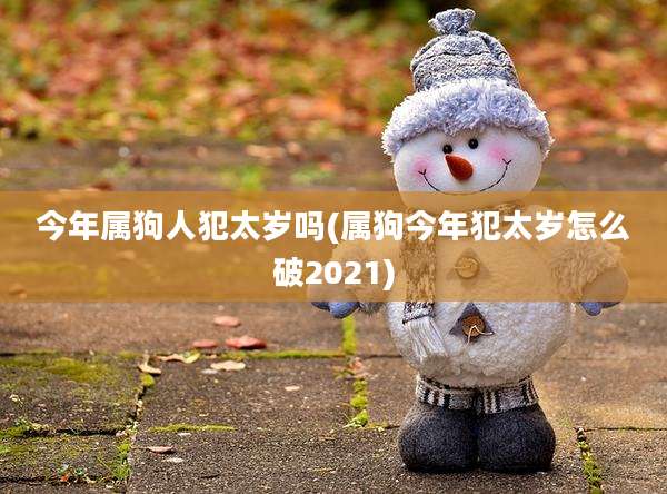 今年属狗人犯太岁吗(属狗今年犯太岁怎么破2021)
