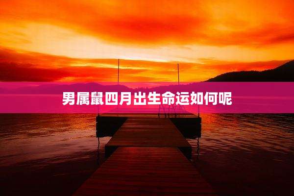 男属鼠四月出生命运如何呢