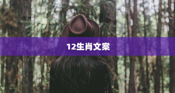 12生肖文案