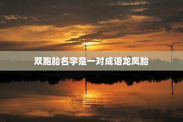 双胞胎名字是一对成语龙凤胎