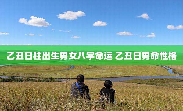 乙丑日柱出生男女八字命运 乙丑日男命性格